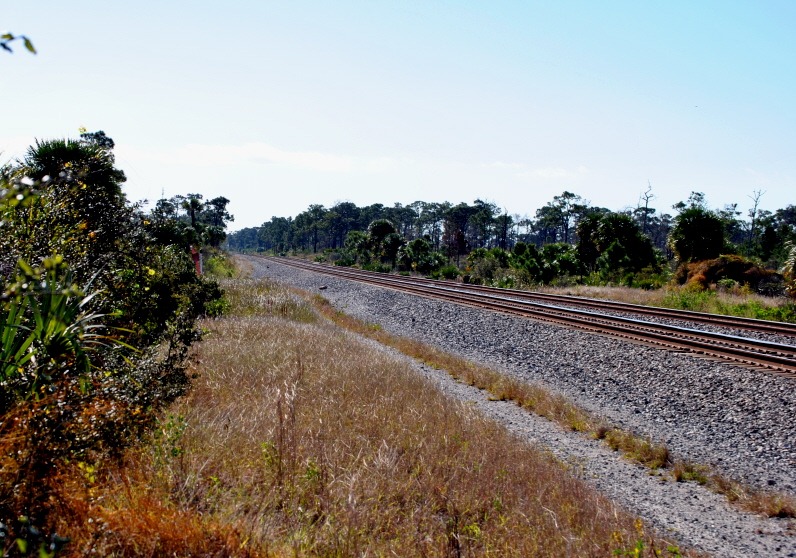 [06---Train-Tracks-South1.jpg]