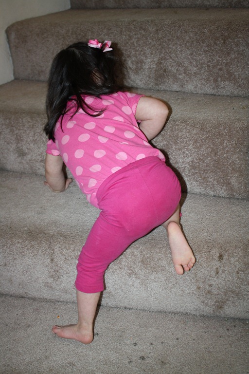[IMG_7193%255B3%255D.jpg]