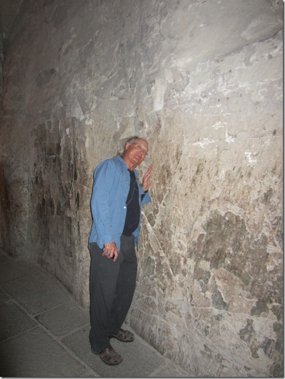 IMG_2451 IMG_2451
