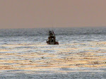 IMG_8705.JPG
