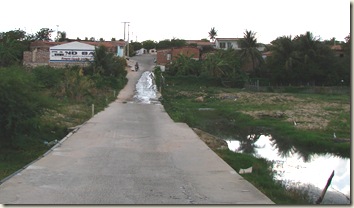 DSC07919