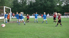 2011 - 10 JUN - WVV F4 TER APEL TOERNOOI 009.jpg