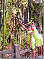 [9.11.12-bugsland-can-you-spot-the-st%255B1%255D%255B1%255D.jpg]