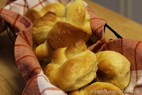 Pumpkin Knot Yeast Rolls