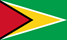 500px-Flag_of_Guyana.svg