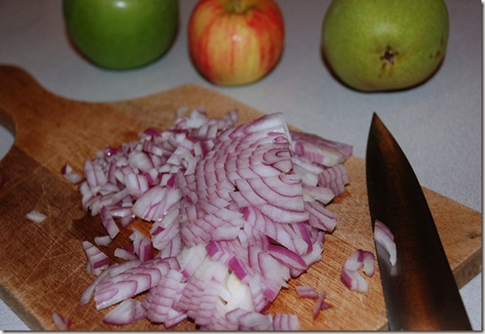 onion-diced