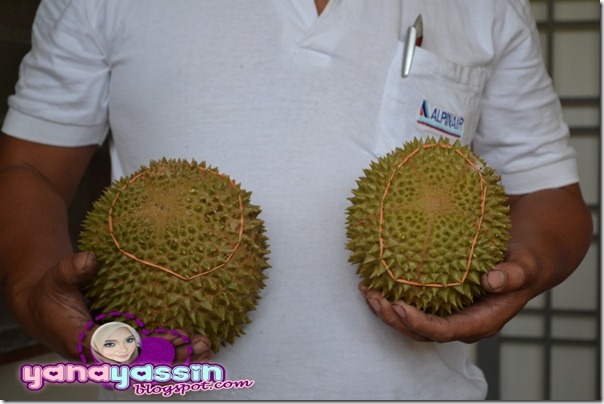 Durian Musang King309_DSC_3047Karak