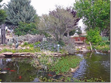 Rusty's Pond and Garden