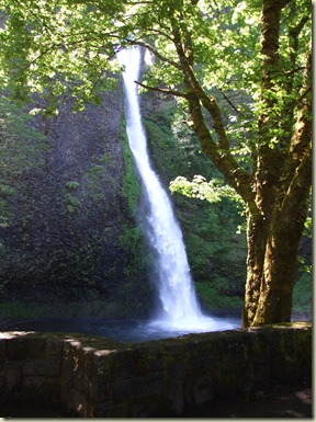Horse tail falls