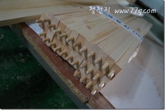 철천지DSC02095-20121010-151721 철천지DSC02095-20121010-151721