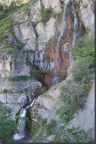 DSC_0975 DSC_0975
