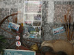 ex-shop window Le Malzieu-Ville