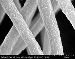 La celulosa nanocristalina La celulosa nanocristalina