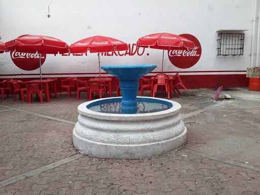 Fuente de Plaza Mercado