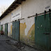 Megyeri ártéri erdő / DSCN1161.JPG