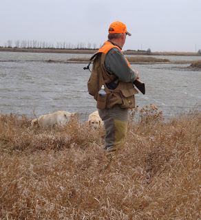 Is this where we find Water Fowl?