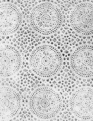 To make the inside of dessert take-home boxes for your guests a bit more chic, add these lace paper circles from Kate's Paperie under the desserts.