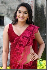 Ragini Dwivedi Hot Saree Stills