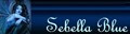 signature (1) signature (1)