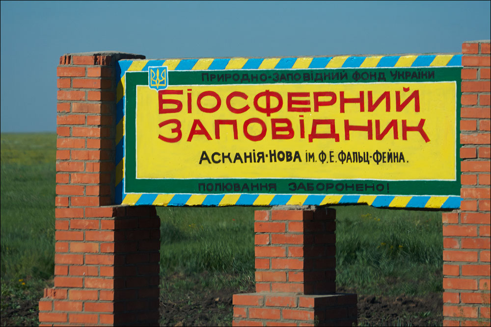 IMG_2517_small.jpg