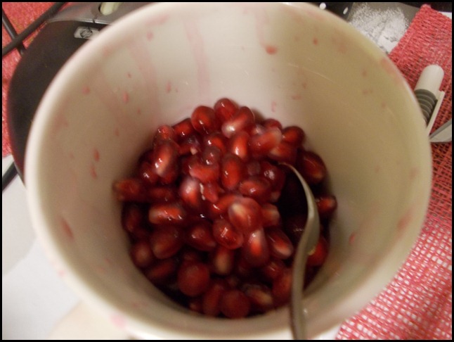 DSCN1550 DSCN1550