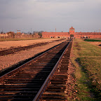 _MG_4365.JPG