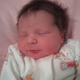 Nora's Sweet Babies 2011