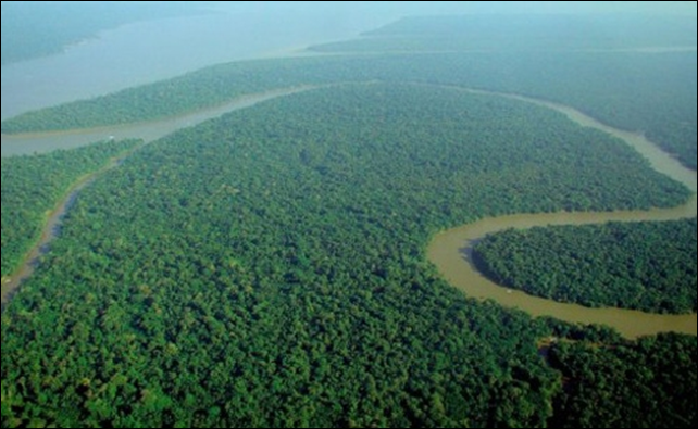 With dry seasons lasting longer in the southern Amazon, rainforests could suffer and, if damage is severe enough, massive amounts of carbon currently stored in plants and the soil could be released into the atmosphere. Photo: Jubasi / Wikimedia Commons via Climate News Network