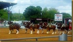 2012-03-11_14-41-43_995 2012-03-11_14-41-43_995