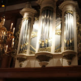 IMG_5554.jpg