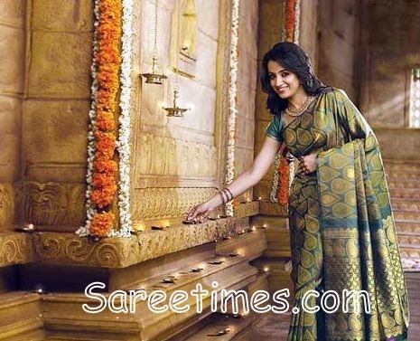 [Trisha_Green_Designer_Saree%255B4%255D.jpg]