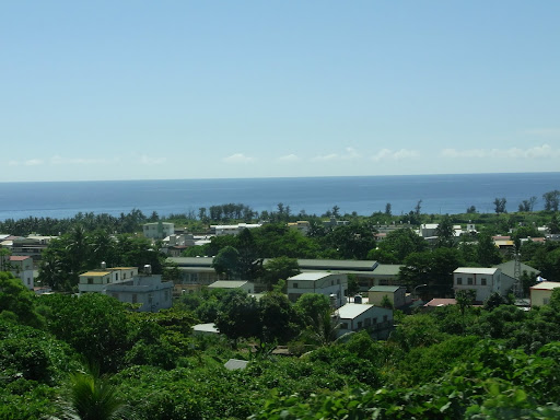 RIMG0433.JPG