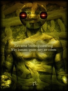 Reverse bioengineering - Why humans ignore they are robots Cover