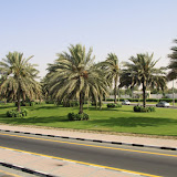 IMG_4986.JPG