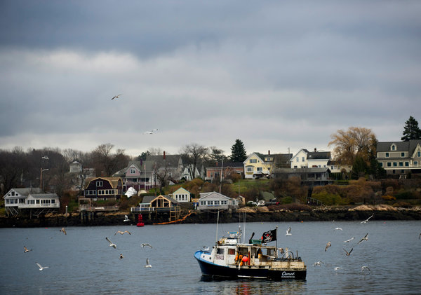 The harbor in Gloucester, Massachusetts, part of the Northeastern fishery declared a disaster by the Commerce Department last fall. Photo: Gretchen Ertl / The New York Times