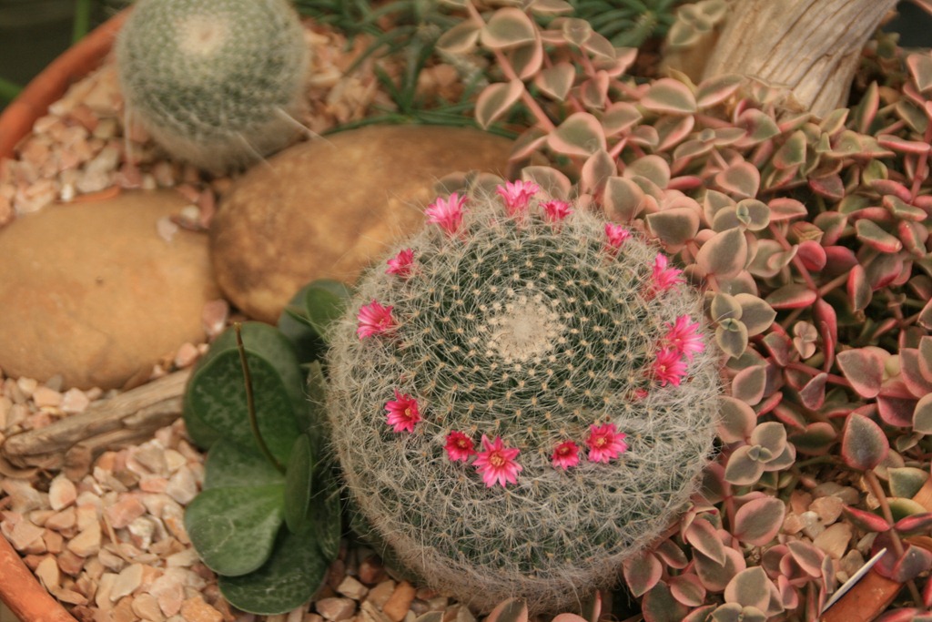 [IMG_7090%255B4%255D.jpg]