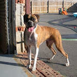 DSCN2529.jpg