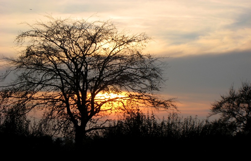 [IMG_2721%255B13%255D.jpg]