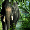 Kumki Latest Movie Gallery 2012