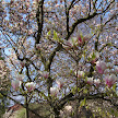 DSC00366.JPG