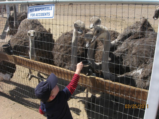 [IMG_3166%255B2%255D.jpg]