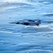 DSCF5735.JPG