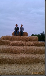 hay stack