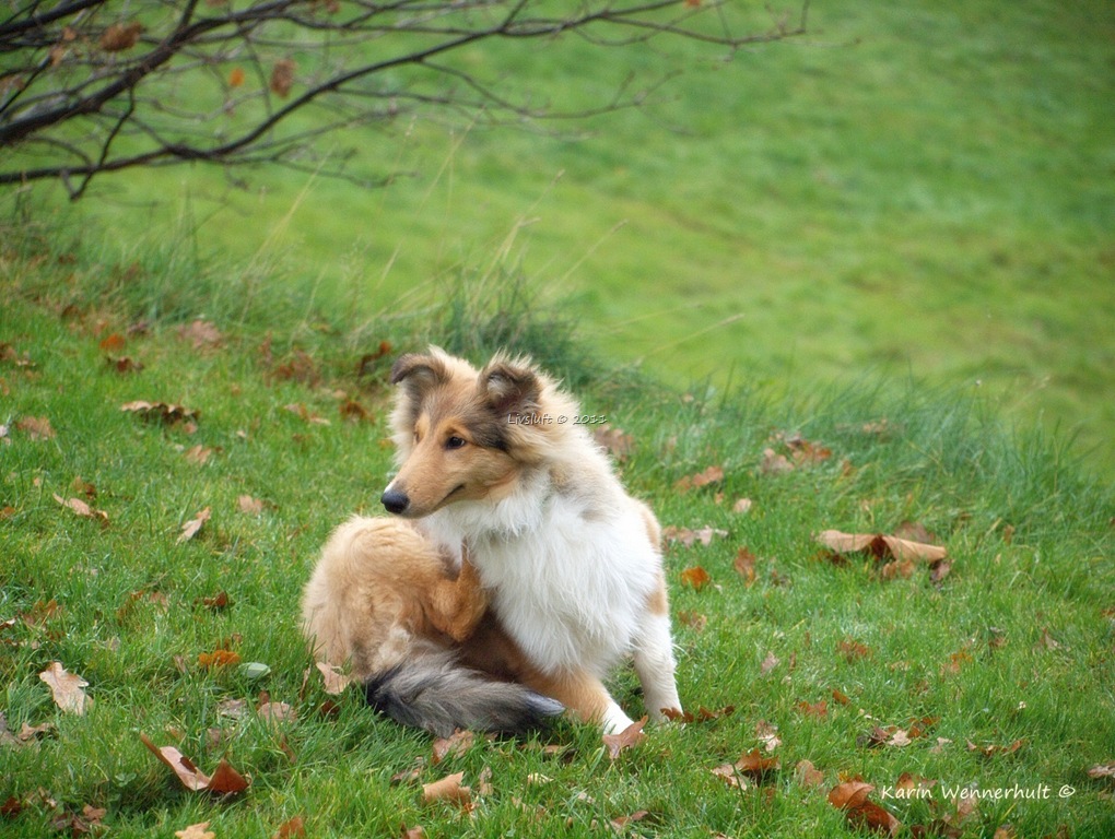 [P1011240RC3.jpg]
