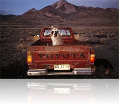 llama-pickup-truck-chile-738581-ga
