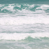 IMG_5030.JPG