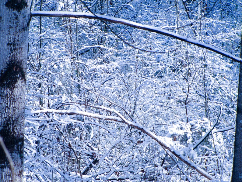 Snow 005