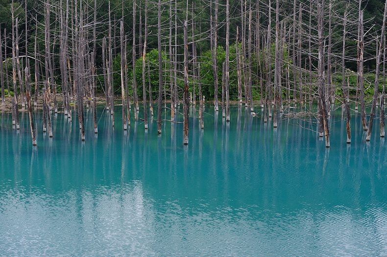 blue-pond-10 blue-pond-10