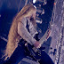 Vulture Industries Hellfest 2012