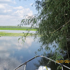 IMG_3403.JPG